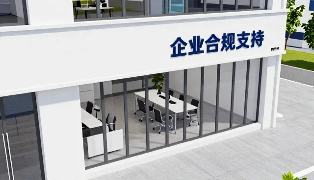 地区业务发展中的定制化管理咨询策略