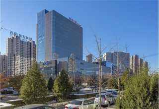 湖南胶合板补皮纸哪里卖