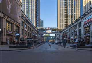 奉贤区进口三文鱼价位